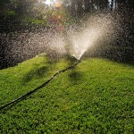 Season of Sprinklers