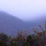 Predawn Mt Remarkable shrouded in a wet misty fog.